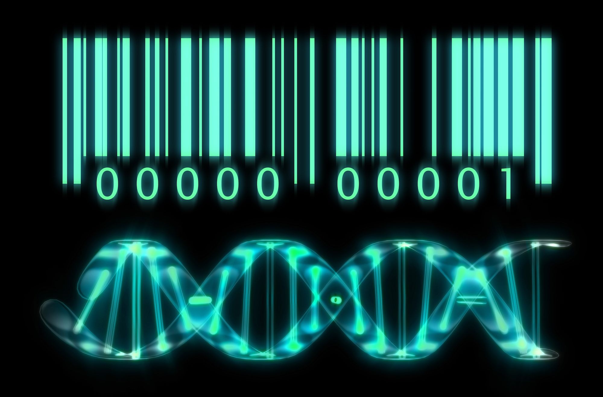 DNA Sequences